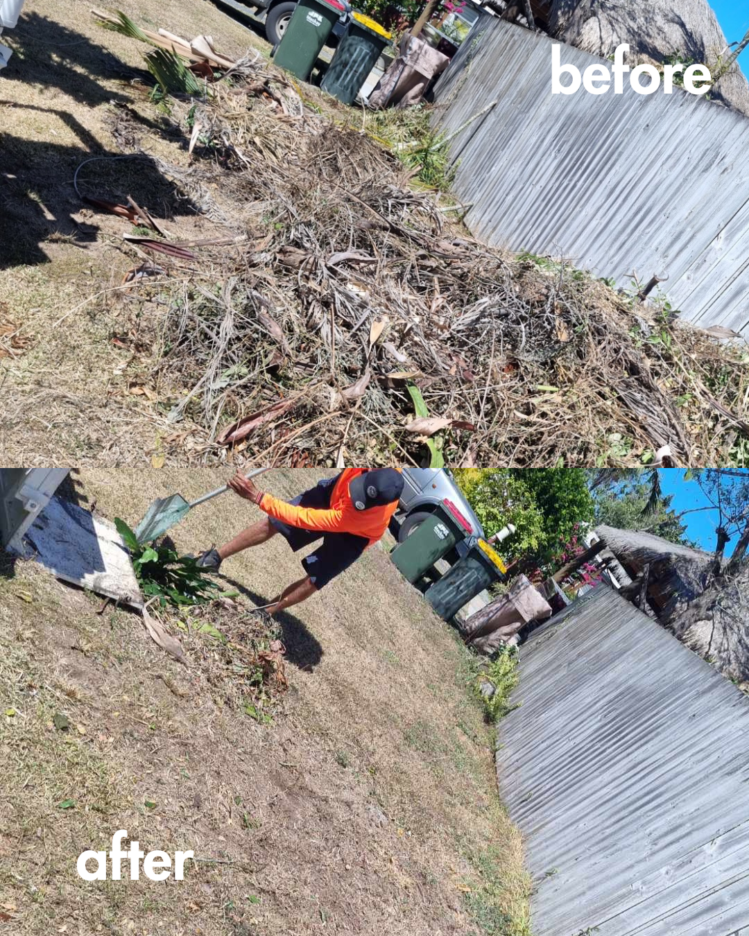 Before-and-After Blondies Bins
