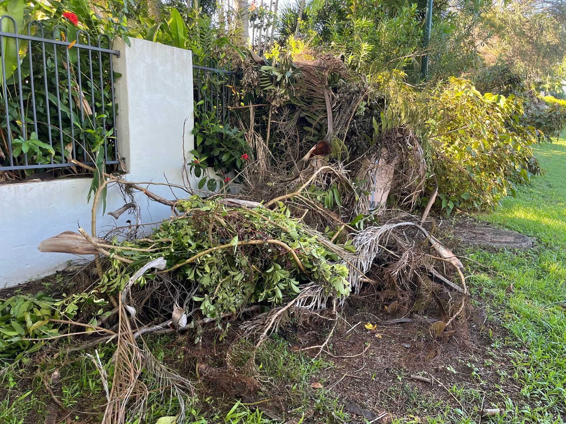 Green Waste Pile