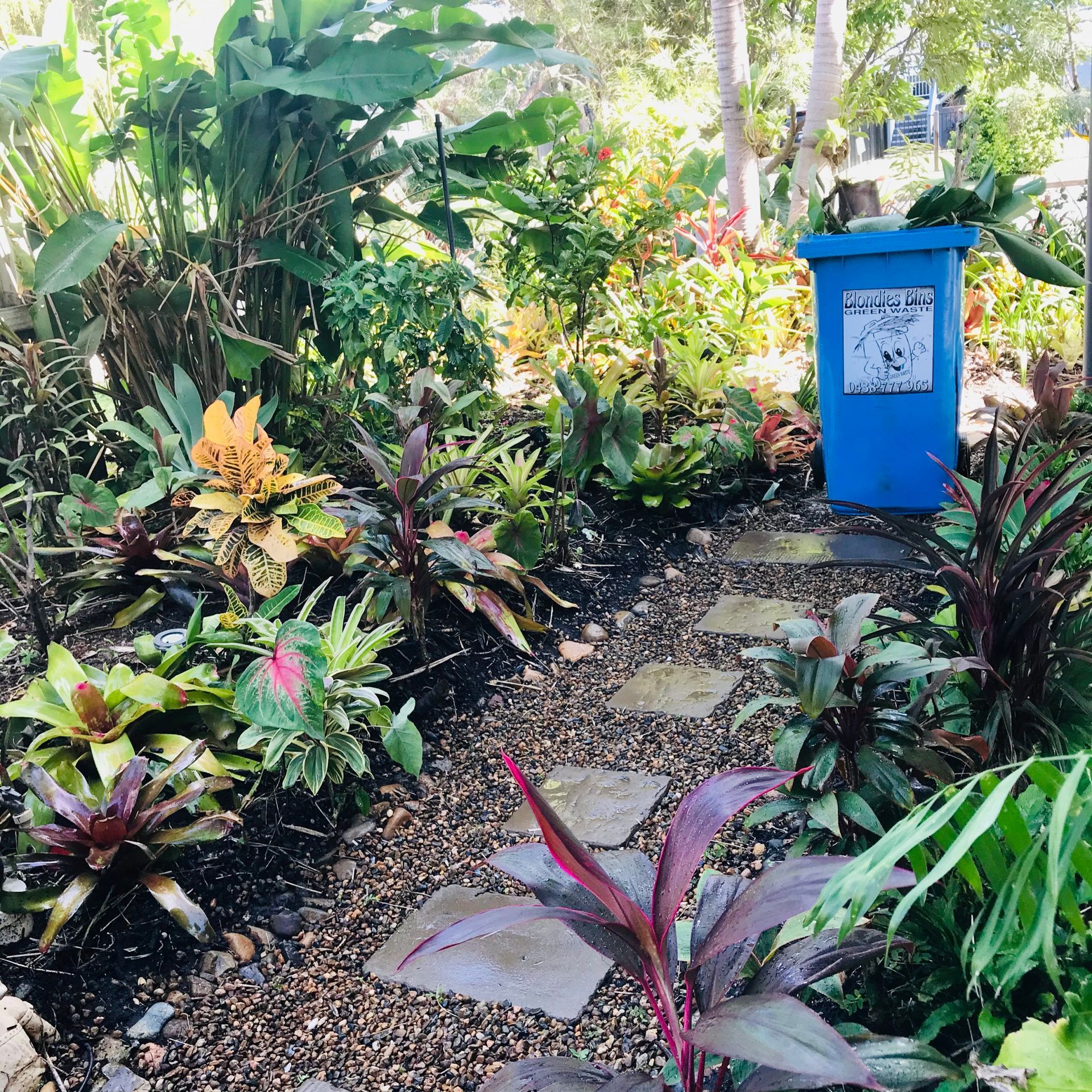 Garden with Blondies Bins Garden Bin