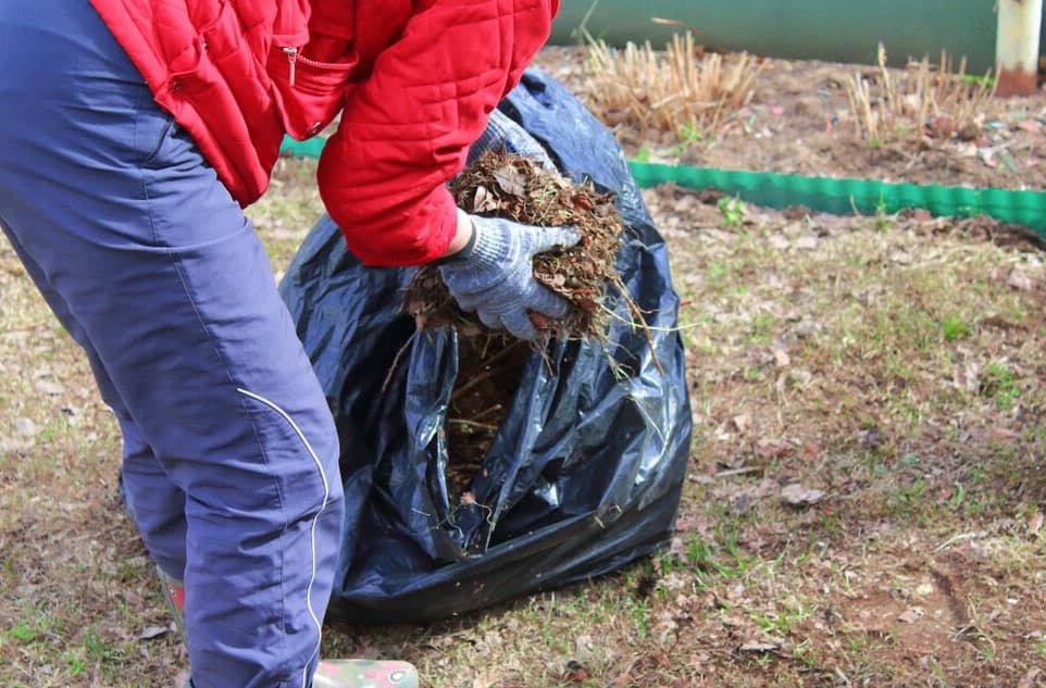 Green Waste into bag