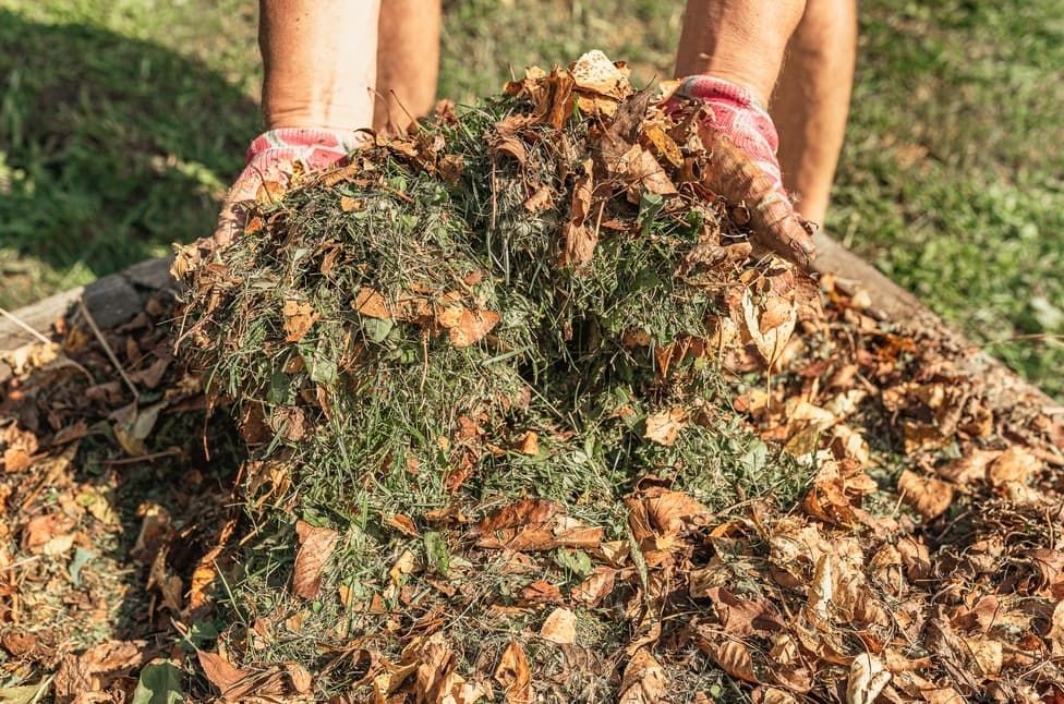 Green Waste Pile