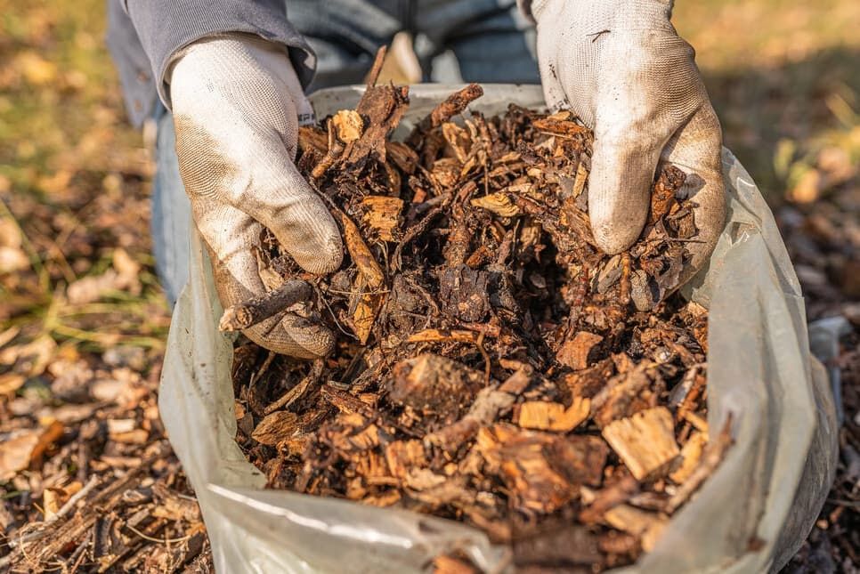 Green Waste in bag