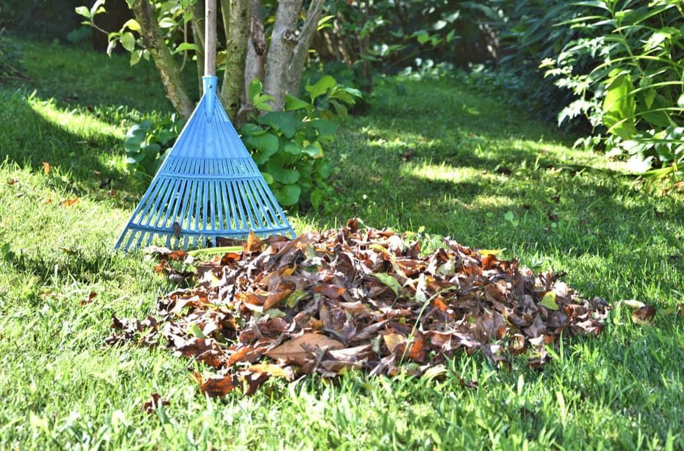 Rake with leaves pile