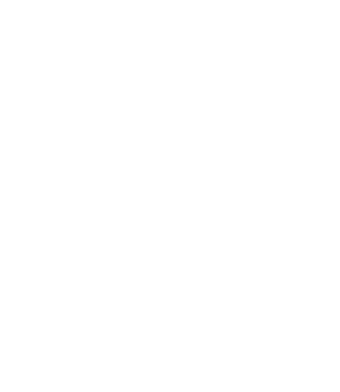 Bin Icon